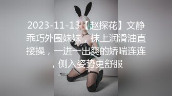 2023-11-13【赵探花】文静乖巧外围妹妹，抹上润滑油直接操，一进一出爽的娇喘连连，侧入姿势更舒服