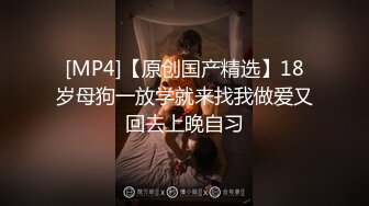 我的大胸前女友2