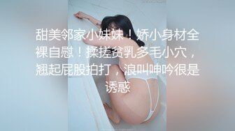 兴风作浪的姐姐DYPE002女优培训篇