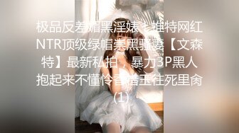 激插少妇（一）