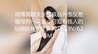 抖S麥娜會長大人被抖M筆記支配了 3