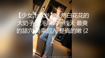 国产TS系列纯欲小妖花茶女仆渔网装菊花夹着震动棒飞机高潮