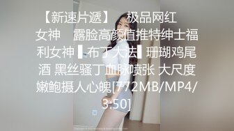 女神妻的放纵