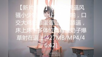 [MP4/ 923M] 吸精小奴隶 高挑御姐范长发妹妹在家多姿势啪啪做爱，最后内射，高清源码