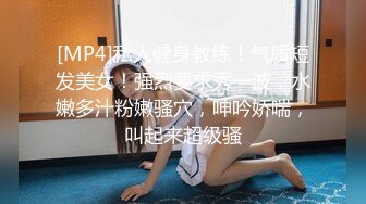 极品身材女友2