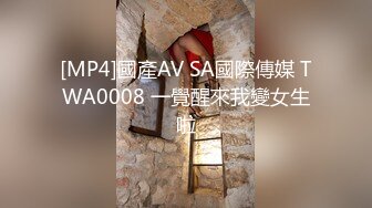 STP32418 蜜桃影像传媒 PMC464 强上我可爱的女房客 吴文淇