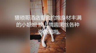 猥琐哥酒店重金约炮身材丰满的小姐姐 换上情趣黑丝各种姿势啪啪