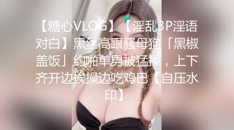 【糖心VLOG】【淫乱3P淫语对白】黑丝高跟骚母狗「黑椒盖饭」约啪单男被猛操，上下齐开边挨操边吃鸡巴【自压水印】