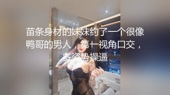 苗条身材的妹妹约了一个很像鸭哥的男人，第一视角口交，多姿势操逼