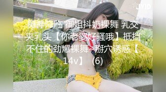 麻豆传媒 MDWP0033 淫行KTV 赵晓涵