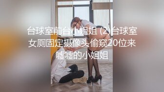 国产麻豆AV 番外 麻豆导演系列 女室友的性癖好