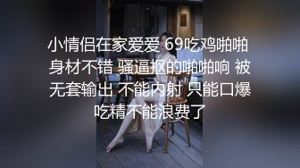 星空传媒，出租女友1 租个女友过大年