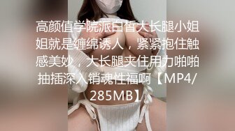 沧州的猫咪超级喜欢吃棒棒糖