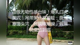 13你的解压小可爱上线了