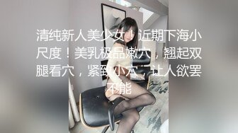 清纯新人美少女！近期下海小尺度！美乳极品嫩穴，翘起双腿看穴，紧致小穴，让人欲罢不能