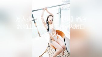 蕾丝中国风模特胡玲由風塵女淪為淫荡母狗