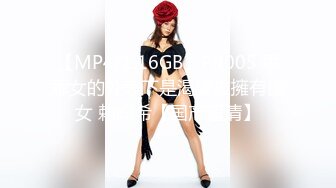 《极品反差婊❤️私拍》万人求档OnlyFans上流高颜气质女神【奥义】不雅私拍第二部❤️金主们的精盆泄欲器3P视觉盛宴