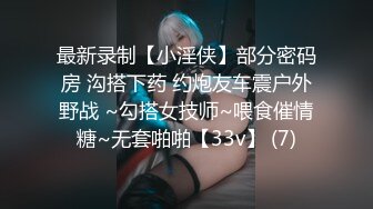 IDG5520 爱豆传媒 性感女祕書私下為老闆解決生理需求 皮皮