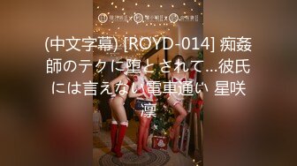 (中文字幕) [ROYD-014] 痴姦師のテクに堕とされて…彼氏には言えない電車通い 星咲凛