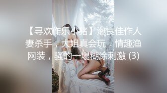 【寻欢作乐小猪】泡良佳作人妻杀手，大姐真会玩，情趣渔网装，骚的一塌糊涂刺激 (3)