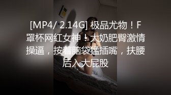 涩会传媒SH-012合租的陌生人-吴心语【MP4/331MB】