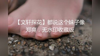 强烈推荐！高颜顶级身材一字马芭蕾舞女神【胡桃夹子】福利，裸身体操动作展示打炮一字马紫薇高潮喷水，炸裂