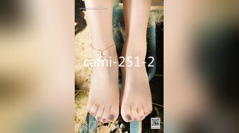 cami-251-2