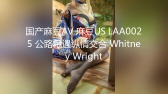 国产麻豆AV 麻豆US LAA0025 公路艳遇纵情交合 Whitney Wright