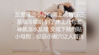 反差骚货小母狗嘴上说着自己是高冷御姐 到了床上几句羞辱就淫水乱喷 变成下贱倒贴小母狗，极品小嫩穴让人着迷