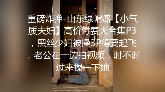 插老婆的肥逼第二段