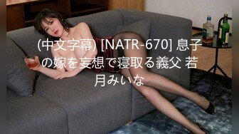 (中文字幕) [NATR-670] 息子の嫁を妄想で寝取る義父 若月みいな