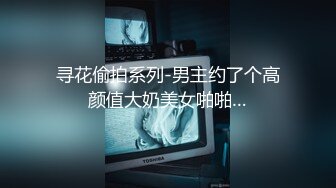 寻花偷拍系列-男主约了个高颜值大奶美女啪啪…