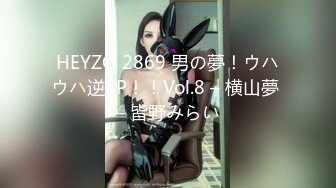 HEYZO 2869 男の夢！ウハウハ逆3P！！Vol.8 – 横山夢 – 皆野みらい