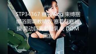 STP34367 糖心Vlog 束缚捆绑浴厕调教精奴 塞着肛塞被操 晃动巨乳羞耻乳夹 DOM黑宫