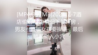 [MP4/397MB]2023-7-7酒店偷拍 学生情侣下午开房，男友一直哄女孩要操逼，最后躺着侧入小穴