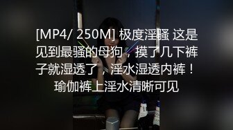 硬核重磅流出⚡推特约炮大神〖江户川〗付费视频 爆操高冷气质白领 极品炮架黑丝美腿玩弄骚穴 模特身材又肏又调教 (4)