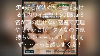 痴●好きが认めた本当に抜ける车内ワイセツ！SODstar8名が声の出せない密室で无理やりイかされ「ダメなのに気持ちいい～～ぃっ！」4时间ず～～～っと感じまくる！