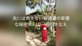 夫には言えない背徳妻の卑猥な秘密Vol.10 - 細田さなえ