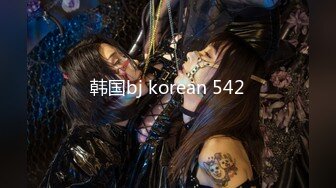 韩国bj korean 542