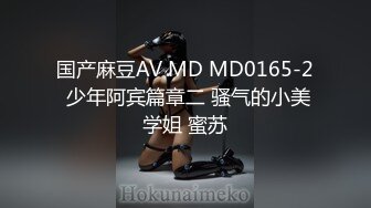 国产麻豆AV MD MD0165-2 少年阿宾篇章二 骚气的小美学姐 蜜苏